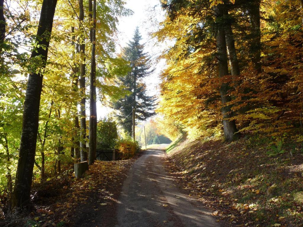 Locations Dupertuis Alsace Apartment Le Hohwald Luaran gambar