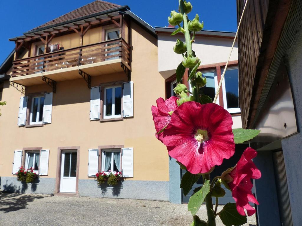 Locations Dupertuis Alsace Apartment Le Hohwald Luaran gambar